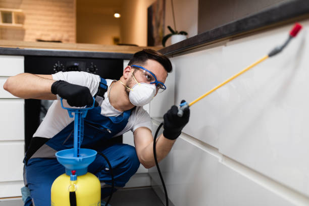 Best Flea Control Services  in Lyndonville, VT